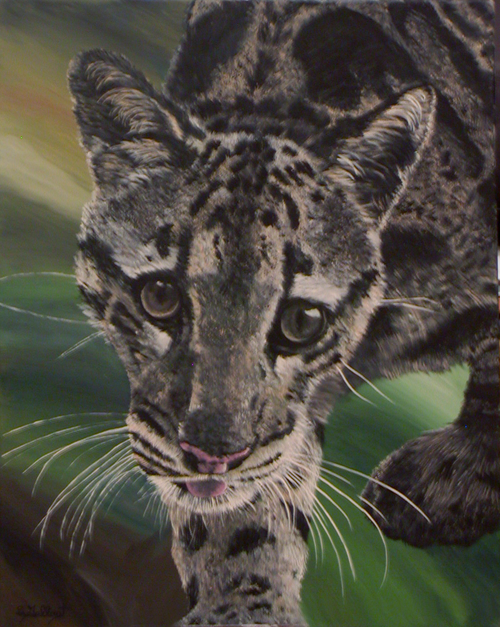 cloudedleopard.jpg