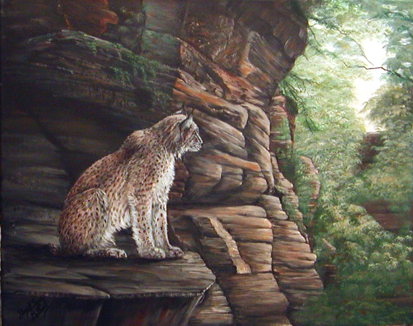 lynx.jpg