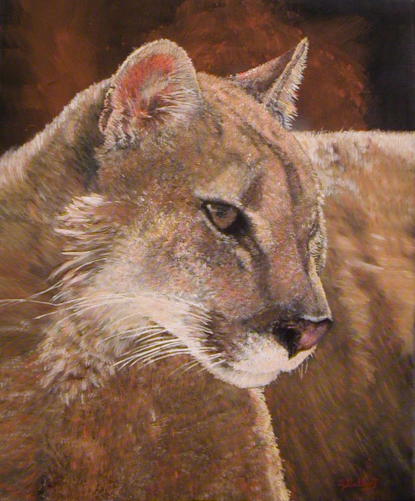 puma.jpg