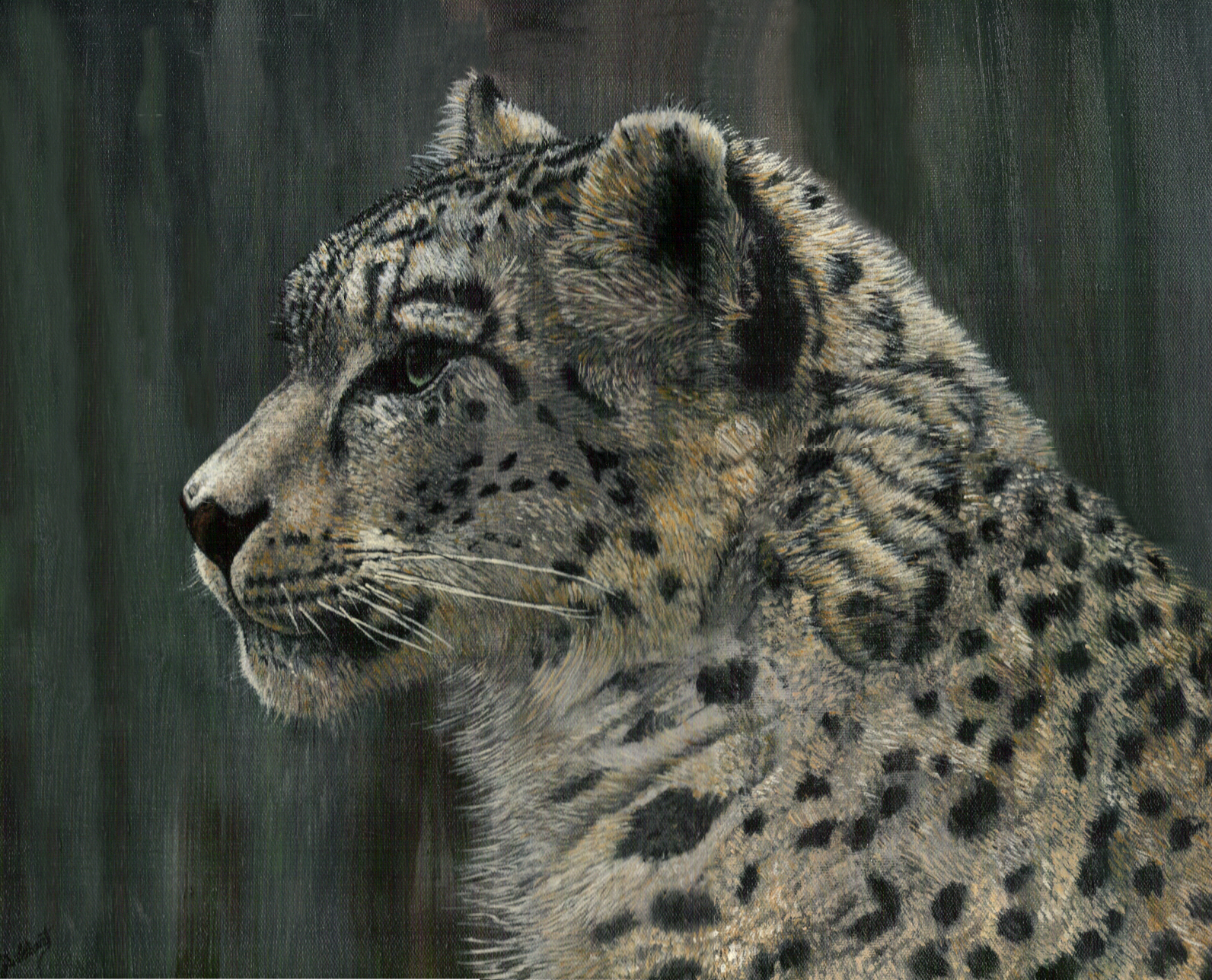 snowleopardprofile.jpg